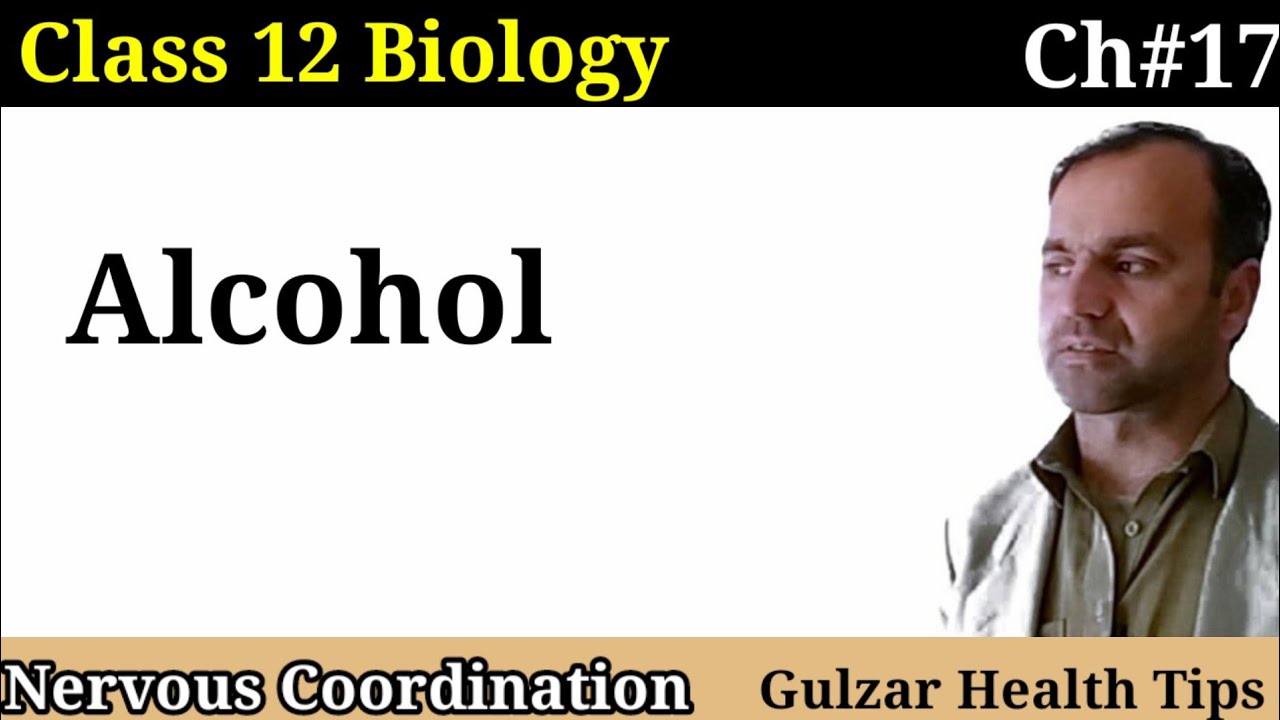 Alcohol medical use and abuse of alcohol Class 12 Biology. YouTube