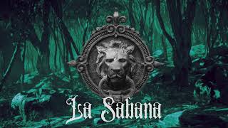 Video thumbnail of "La Sabana - Carlos Cortes"