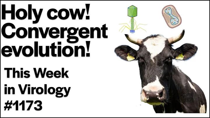 TWiV 1173: Holy Cow! Convergent evolution!