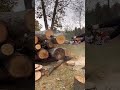 PORTED 500I is square grind chain worth the change ?#firewood #stihl #treework #faller #husqvarna