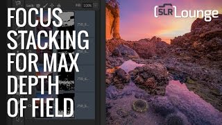 focus stacking software free focus stacking software free