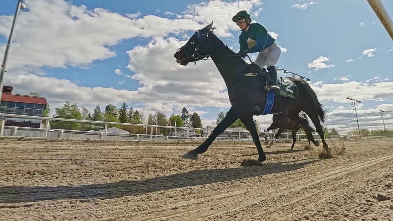 Øvrevoll Galoppbane (Øvrevoll Galopp)17.05.2023 / 14:25 Cet / Race #6 / 1100DtDemon Dancer Løp