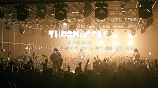 쏜애플(THORNAPPLE)  파리의 왕 / 한낮 / 수성의 하루 / 매미는 비가 와도 운다 / 멸종 '불구경 2023' Live ver.