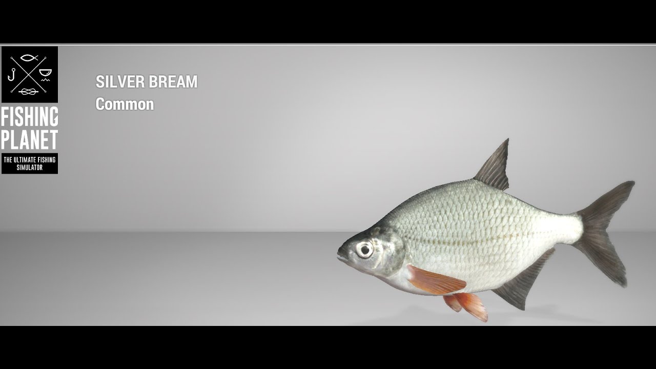 fishing planet lesni vila fishery map fishing planet lesni vila fishery map