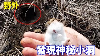 Mysterious cave & hamster box by river; dying hamster caught! [Wild Wang Dakun]