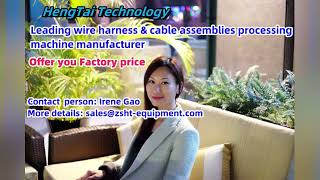 Professional supplier Fully automatic wire stripping and terminal crimping machine