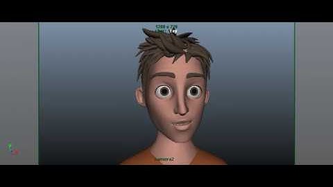Facial Expression Animation Test
