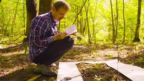 Ecologist Measuring Plants Stock Video