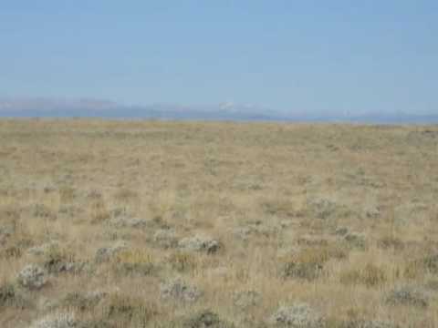 Video: Wat is die groot heinings in Wyoming?