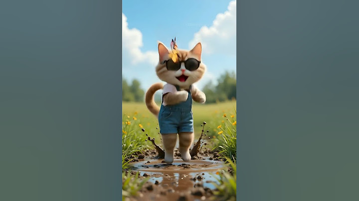 Funny Cat Videos: Cat Falling in the Cutest Ways! #cats #kittens #pets #shorts #catvideos  #funny