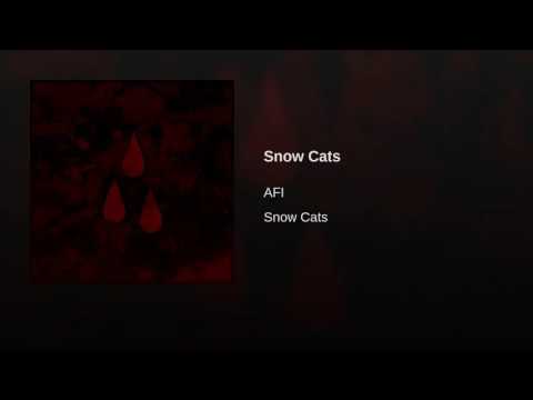 Snow Cats