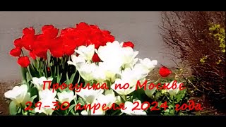 Прогулка по Москве 29 и 30 апреля 2024 года