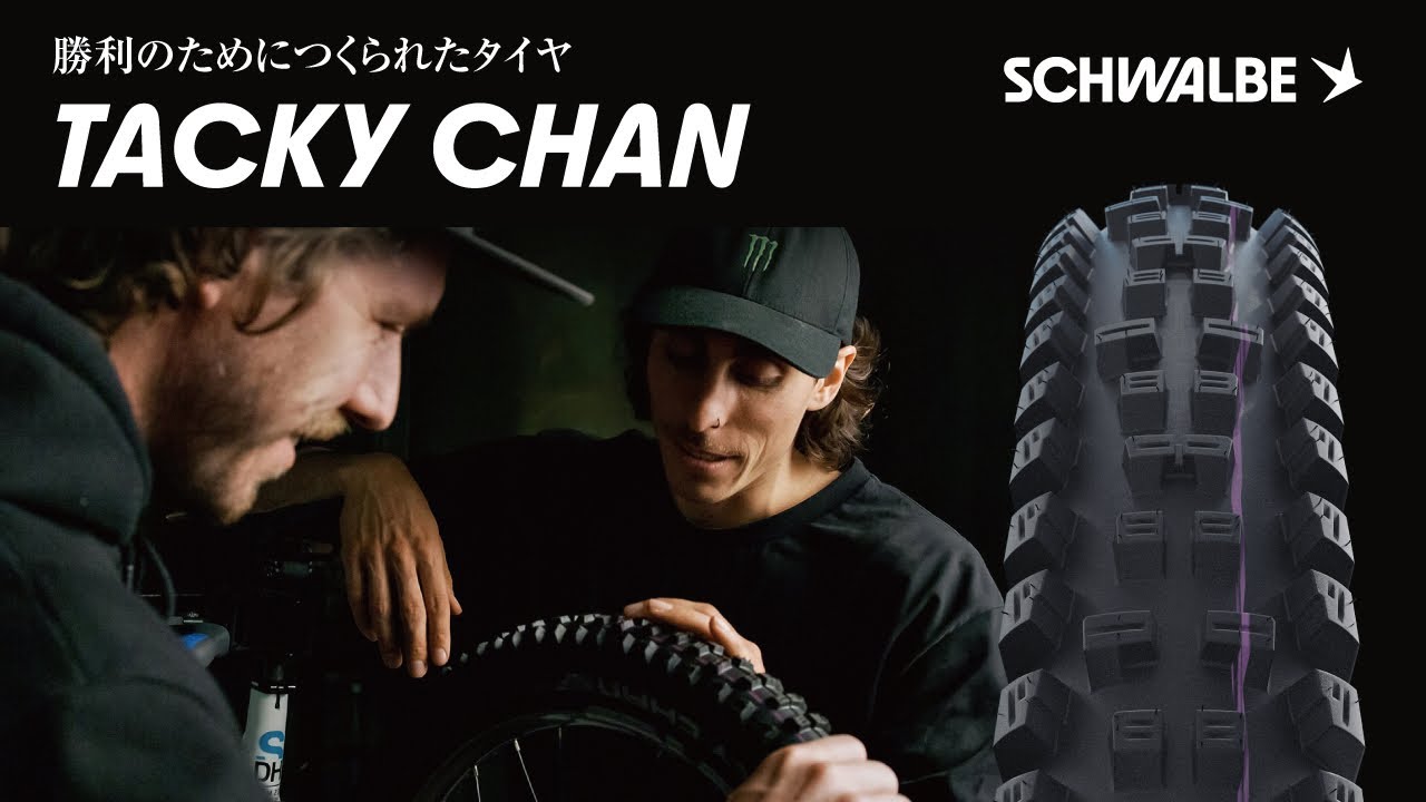 SCHWALBE（シュワルベ）TUCKY CHAN （タッキーチェン）29×2.40 SUPER