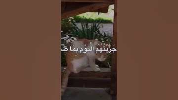 الحمدلله #تلاوة_خاشعة #إسلام_صبحي #لايك #تلاوة_مؤثرة #راحة_نفسية