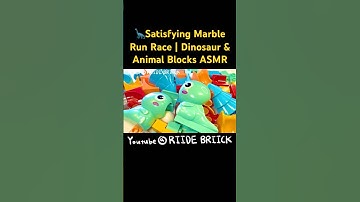🦕Dino & Animal Marble Run | Calming ASMR Race