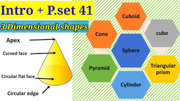 class 6 Three Dimensional shapes |Intro +p.set 41