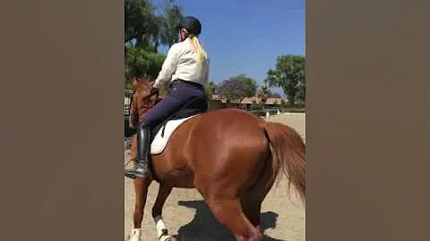 Walk trot dressage lesson with sandra