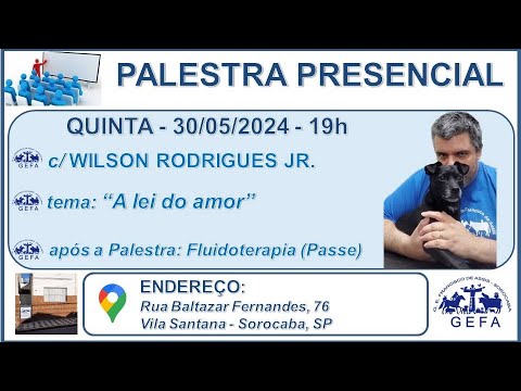 Assista: Palestra Presencial - c/ WILSON RODRIGUES JR. (30/05/2024)