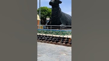 New Status video #Shorts# kotilingeshwara shiv temple 😳🙏🙏