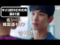 【韓国語会話】サイコだけど大丈夫で学ぶ韓国語フレーズ.Ep01