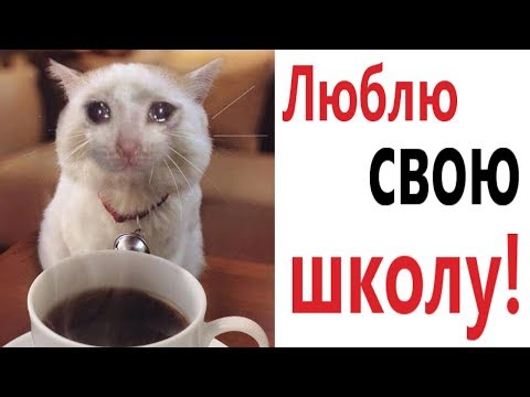 Лютые приколы. Я ЛЮБЛЮ СВОЮ ШКОЛУ!!! Попробуй не засмеяться! РЖАКА ДО слёз! – Domi Show!