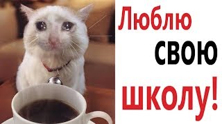 Лютые приколы. Я ЛЮБЛЮ СВОЮ ШКОЛУ!!! Попробуй не засмеяться! РЖАКА ДО слёз! - Domi Show!