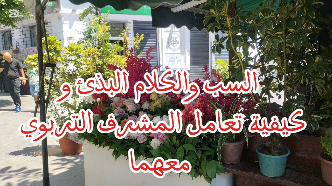 السب والكلام البذئ وكيفية تعامل المشرف التربوي معهما 