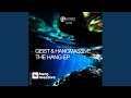 Marine Migration Geist Remix mp3
