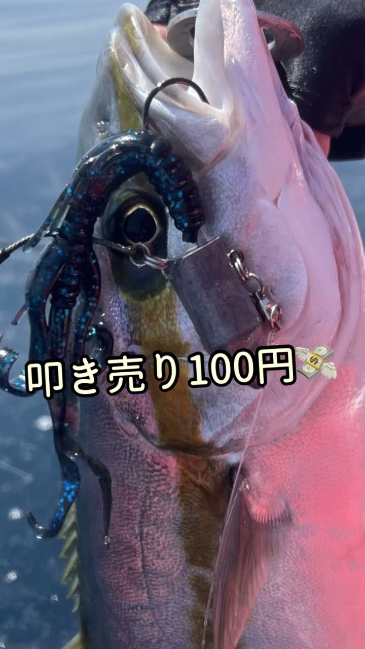 hqdefault.jpg