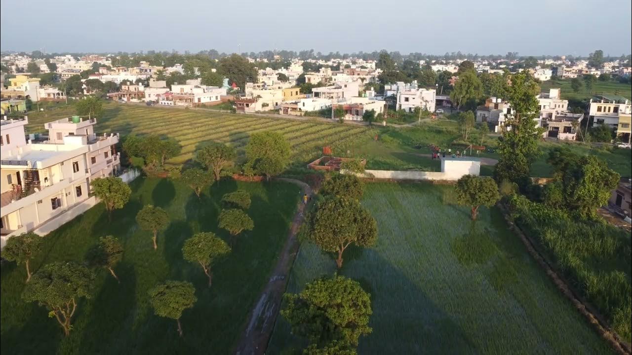Drone view of Haldwani mango farm near my house with DJI Mini 2. 