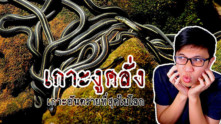 เกาะงูคลั่ง ดินแดนที่อันตรายที่สุดในโลก | เรื่องมันสั้น