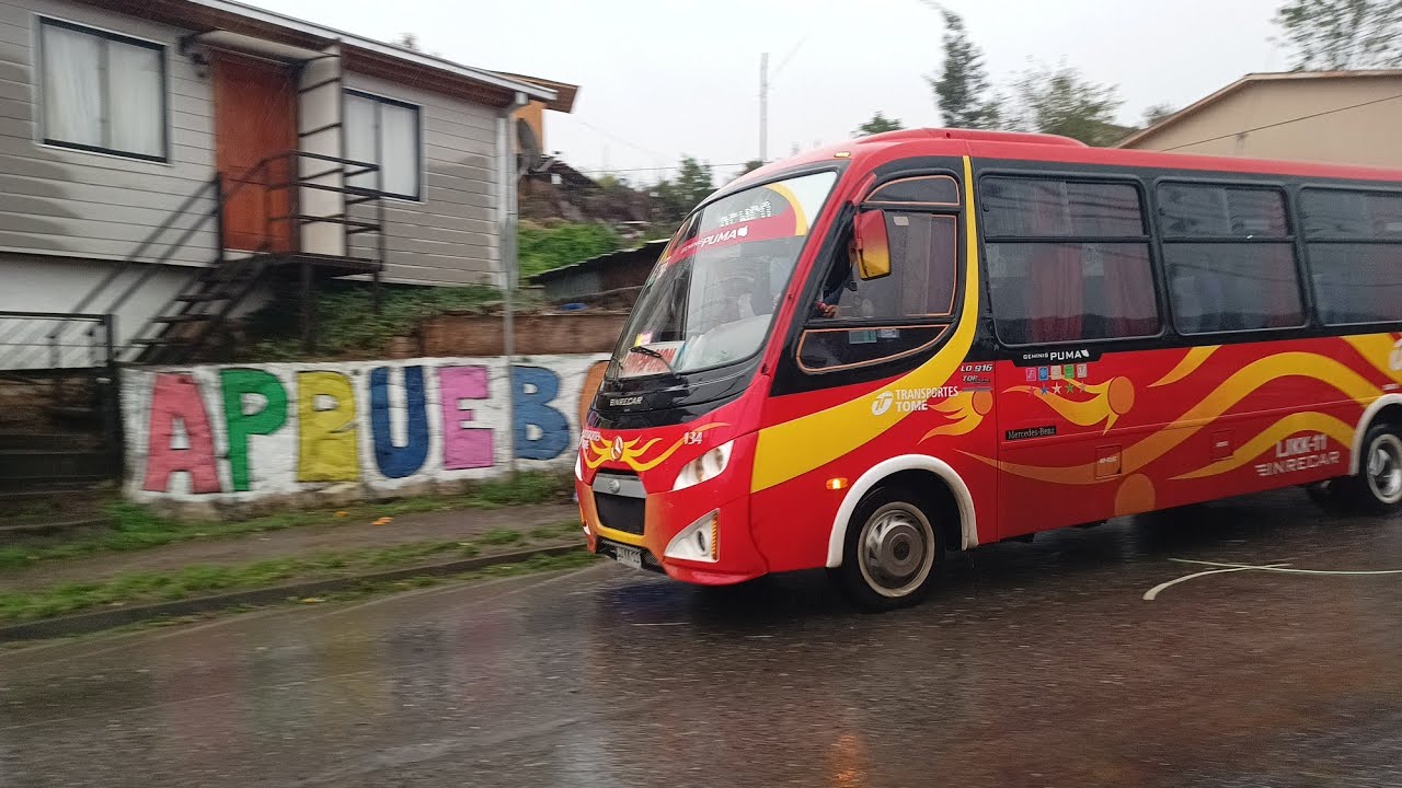 inrecar-geminis-puma-xl-m-benz-lo-916-buses-ruta-marina-transportes