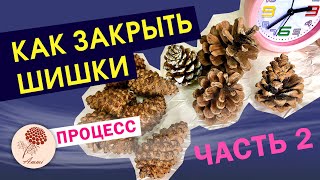 Как закрыть шишки. Часть 2. Полный пошаговый процесс