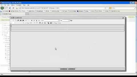 Adding Text Using Firefox - Websiteforge Ecommerce Website