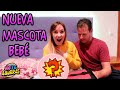 ADOPTO NUEVA MASCOTA BEBÉ !! REACCIÓN