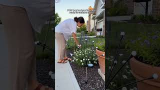 Link in Bio 🔗#shorts #lights #garden #backyard
