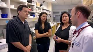 UT Southwestern Harold C. Simmons is a NCI-designated Comprehensive Cancer Center