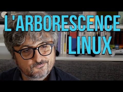 Vidéo: Que signifie le jaune sous Linux ?