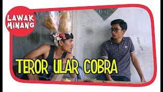 Teror Ular Cobra | CentangParenang 10