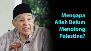 Mengapa Allah Belum Menolong Palestina? - M. Quraish Shihab