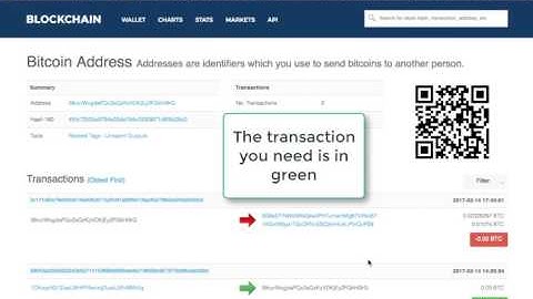 How to find a transaction ID, or hash, of a Bitcoin transaction