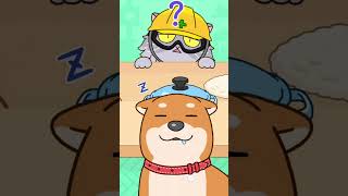 Alice Vs Gray Persia Hide Seek Cat Escape Shorts