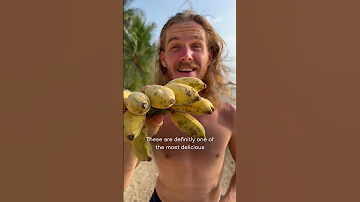 Top 5 Most Exciting Bananas In The World 