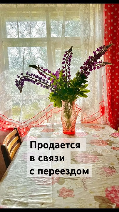 #продамдом #обзор #дача #вологда - YouTube