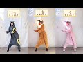 Pokedance full verpokemon day