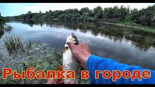 Мини рыбалка в городе. Даже рыбу поймал)))