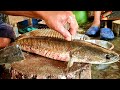 Amazing Fish Cutting Skills | Live Sola Fish Cutting By Expert Fish Cutter