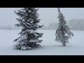 Snowfall with seen at 9 am 4/11/13 at NWS Twin Cities