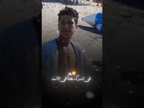 الديب عنيد مدخلش سرك ولا عملو من عروض Shorts Youtubeshorts