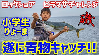 ヒラマサ Youtube ヒラマサ Youtube